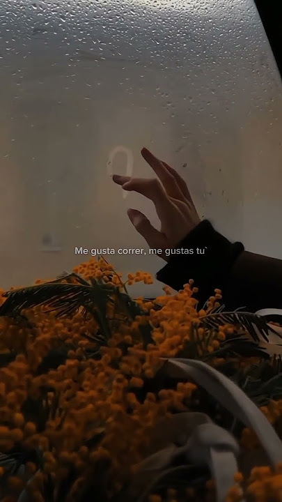 Me Gustas Tu - (Manu Chao)  | song | lyrics | audio | aesthetic #shorts #lyrics #edit #viralvideo