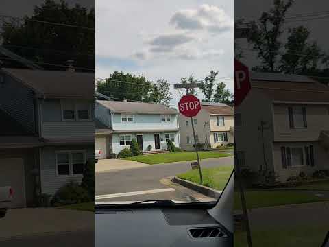 ريتشو وننوش توت وكرز