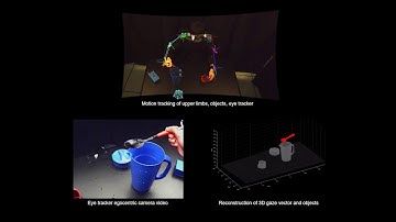 Action primitive recognition using eye gaze features