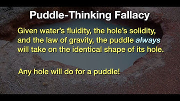 2021-06-06 Paradoxes Class