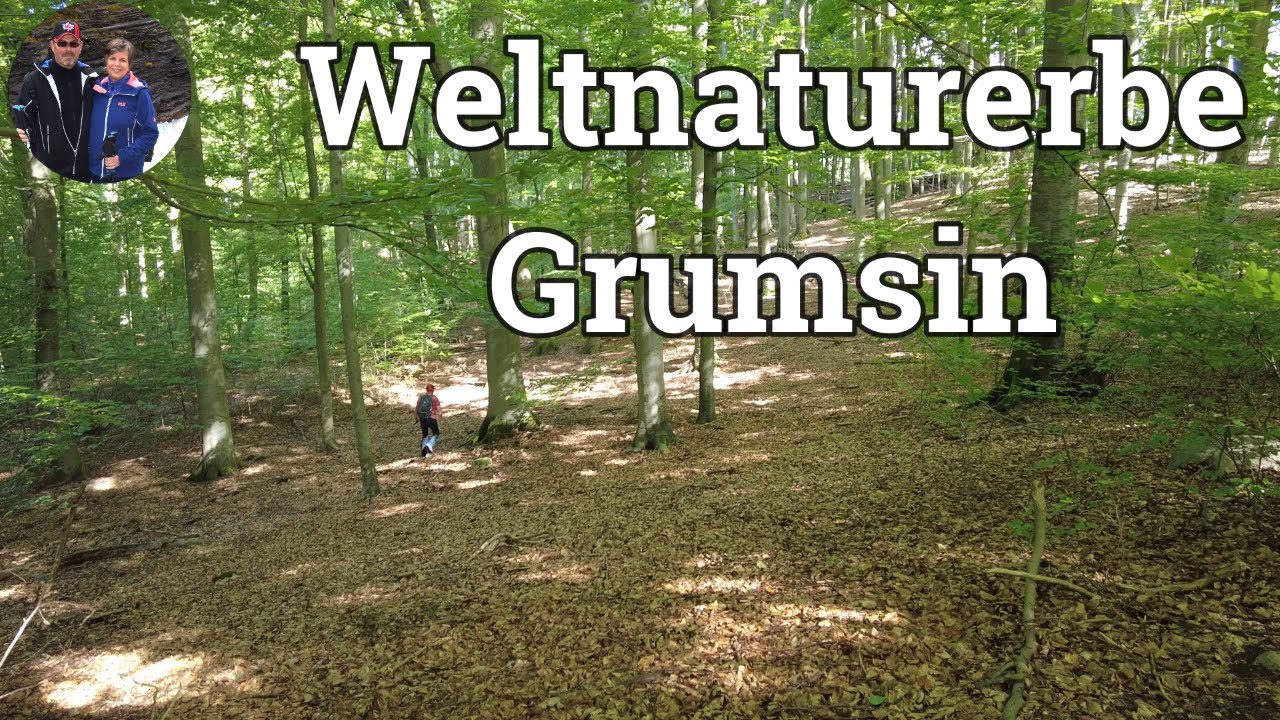 Unterwegs in der Uckermark - Weltnaturerbe Buchenwald Grumsin