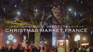 フランスで過ごすクリスマス🎁🌲フランスTOP10のクリスマスマーケットの様子をお裾分け🕊️