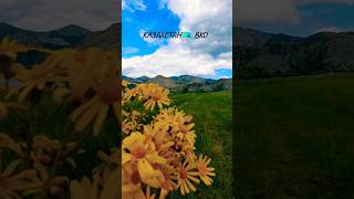 Восточно Казахстанская Область #казахстан #вко #оскемен #природа