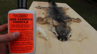 Grey Fox Fur Pelt HIDE TANNING Demo using Hunter's Tanning Formula Start to Finish screenshot 4