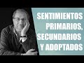 Joan Garriga Bacardi - Sentimientos primarios, secundarios y adoptados