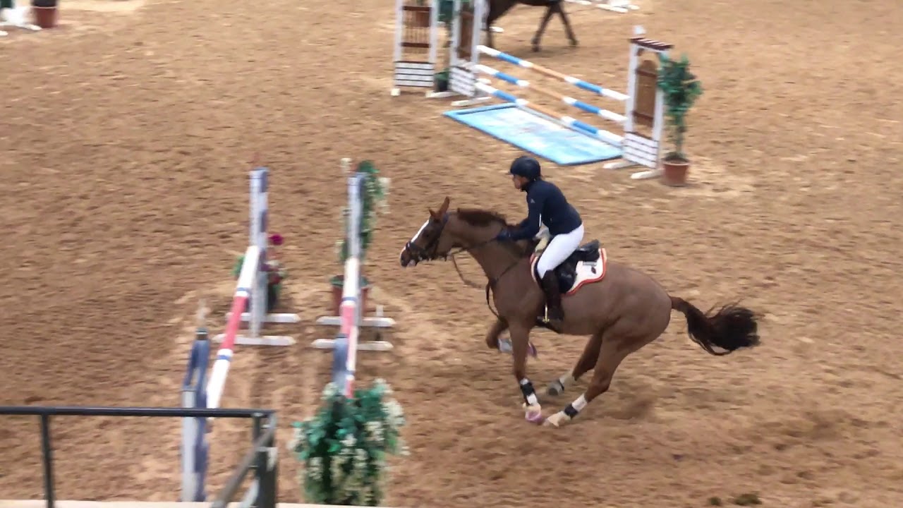 "Hallo Kreuth" in Kreuth