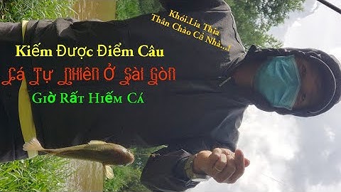 Câu cá rô dọc kênh Cầu Lớn Hóc Môn (P2). Hôm nay dính cá trê vàng luôn.