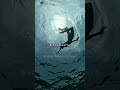 The Riordanverse #booktok #pjo #percyjacksonedits #bookaesthetic #fantasy #edit #books #mythology