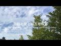 平和と愛と相互理解と/(What's So Funny 'bout) Peace, love and Understanding 【Nick Lowe/Elvis Costello 我流和訳カバー】