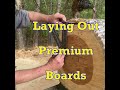 Most Woodworkers Waste Half Their Wood #woodworking #hack