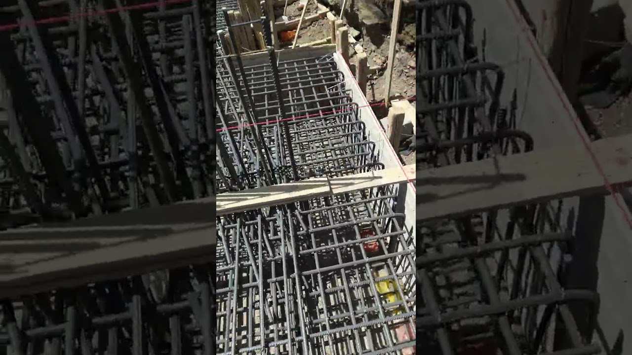 ٢١ فبراير ٢٠٢٦