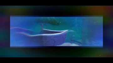 Are official pulse clan intro