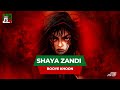 SHAYA ZANDI BOOYE KHOON شایا زندی ـ بوی خون 