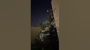 سوره الزمر|أدهم نابلسي|قل يا عبادي الذين أسرفوا|#قرآن_كريم #اجر_لي_ولك #سورة_البقرة