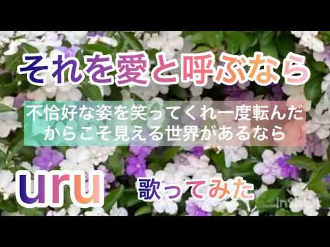 【歌ってみた】それを愛と呼ぶなら / uru ドラマ主題歌 TBS系日曜劇場 マイファミリー 原キー 歌詞付き カバー cover by風呼アローラ 139