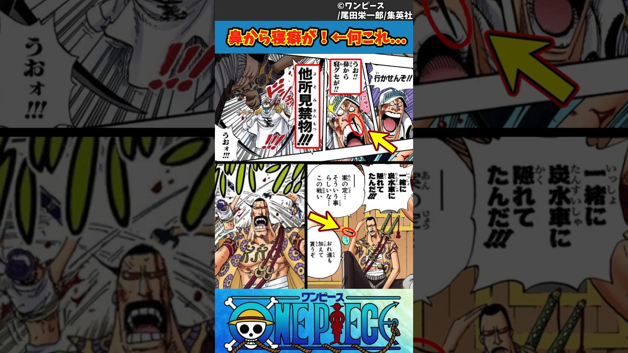 【ワンピース】鼻から寝癖が!←何これ... #ワンピース #反応集