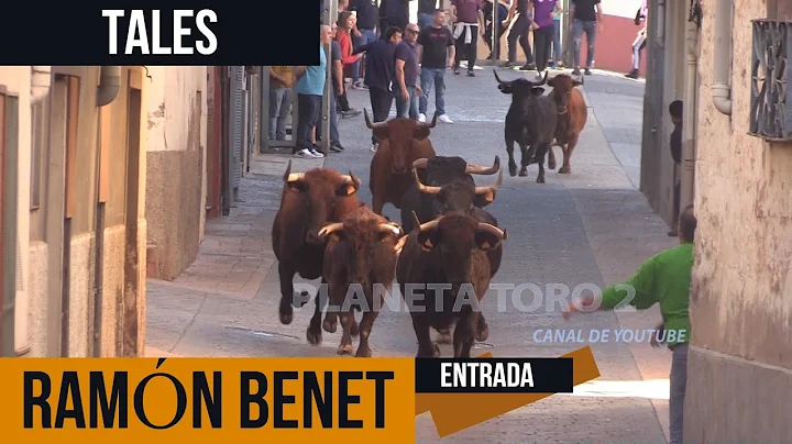 2022 11 10 TALES RAMON BENET ENTRADA