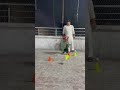Basic T-Cone Front Foot batting Drills For Beginners batsman #cricket #youtubeshorts #shortsviral
