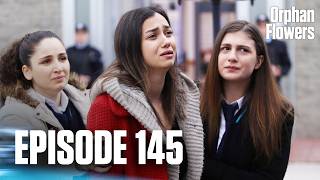 Kırgın Çiçekler I Orphan Flowers - Episode 145