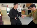 Arts martiaux internes  techniques daffaissement  taichi chuan  structure en portefaux