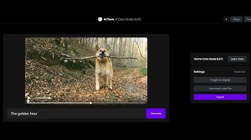 (Sample) Runway AI Color Grading LUT