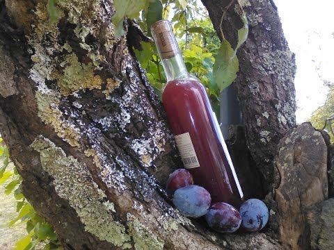 recette un digestif à base de prune  (  ROSEDUSOIR )