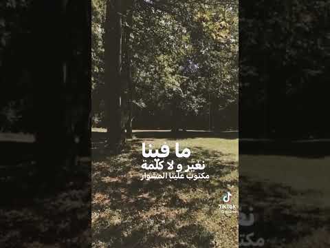 وائل كفوري حكاية عاشق