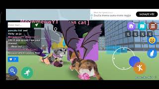 me cat simulator online twins