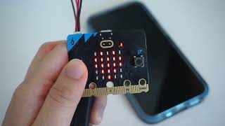 Microbit Pet demo