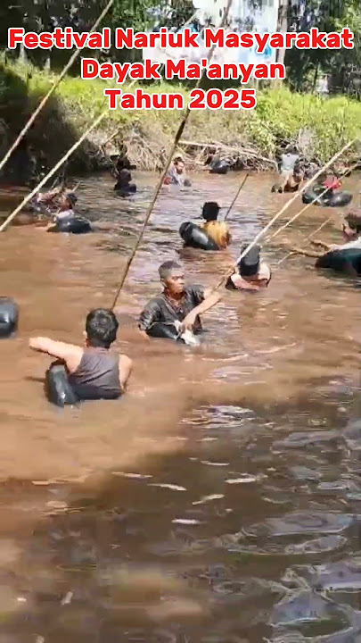 Viral Masyarakat Dayak Ma'anyan mengikuti Festival Nariuk didesa Pulau Patai #viralvideo #viralshort