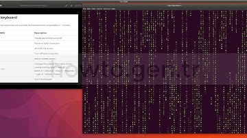 How To Simulate The Display From “The Matrix” In Linux