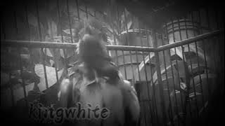 jalak suren rasa platuk mewah