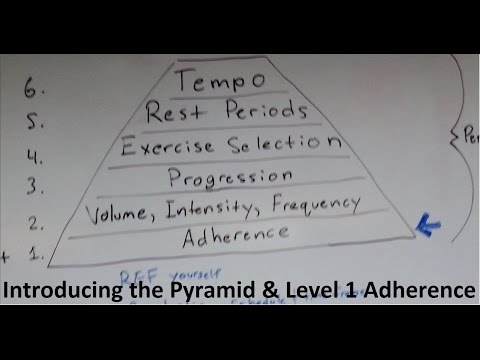 Muscle and Strenth Training Pyramid Level 1 and intro