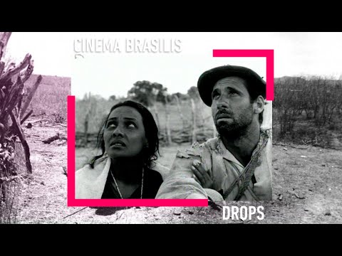 Baleia was never just a dog | DROPS #13