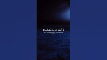 اكتب شيء تؤجر عليه 😴❤️ | تلاوة خاشعة ياسر الدوسري 🎧