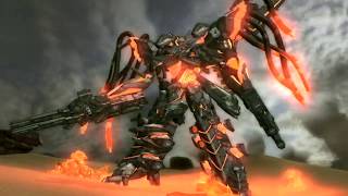 RF:【ACVD】主任(企業)　VS　財団