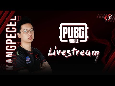 AKHIRNYA BISA LIVE! PERSIAPAN SEACA SCRIM INDO BTR AURA NFT