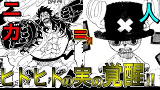 ヒトヒトの実モデルニカの覚醒 五老星の言うあの実はゴムゴムの実のことだった チョッパーの覚醒で考える新たなるヒトヒトの実の真実 ワンピース ネタバレ Youtube