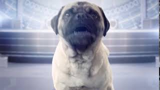 Men In Black International - Bumper Frank - Ab 13. Juni Im Kino