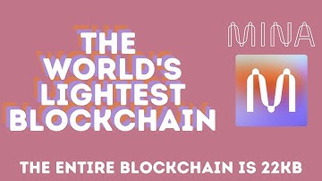 NEW 150X - Mina Protocol - Quickly sync and verify on blockchain that weighs as much as 2 tweets