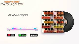 Saygın Çelebi feat. Bilge Nila - Bu Şubat Akşamı (Albüm versiyonu) Resimi