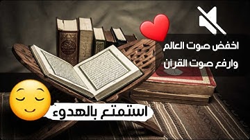تلاوة في قمة الهدوء والخشوع