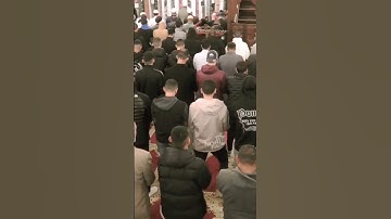 الشيخ محمد العباسي من سورة التوبة