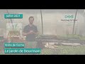 Portrait de ferme msv  jardin de deuxmain 50  guillaume haelewyn   2021