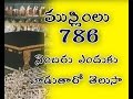 WHY MUSLIM USE  786 NUMBERS