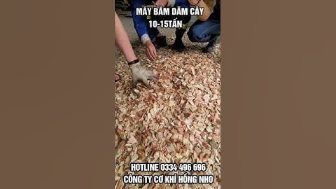 ✅Máy Băm CÔNG SUẤT CAO 10-15 TẤN/H - Dây Chuyền Băm Chất Lượng/ #shortsvideo