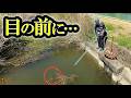 水路の中のヌシにワームを落とした結果。【旧吉野川】