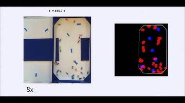Dynamic Topological Mapping with Hexbugs