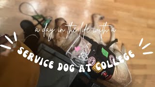 Day In the Life with a Service Dog at College!!!