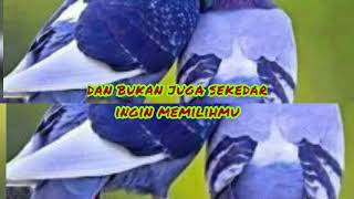 Story WA 30 detik kekinian |||Bukan sekedar ingin memilikimu